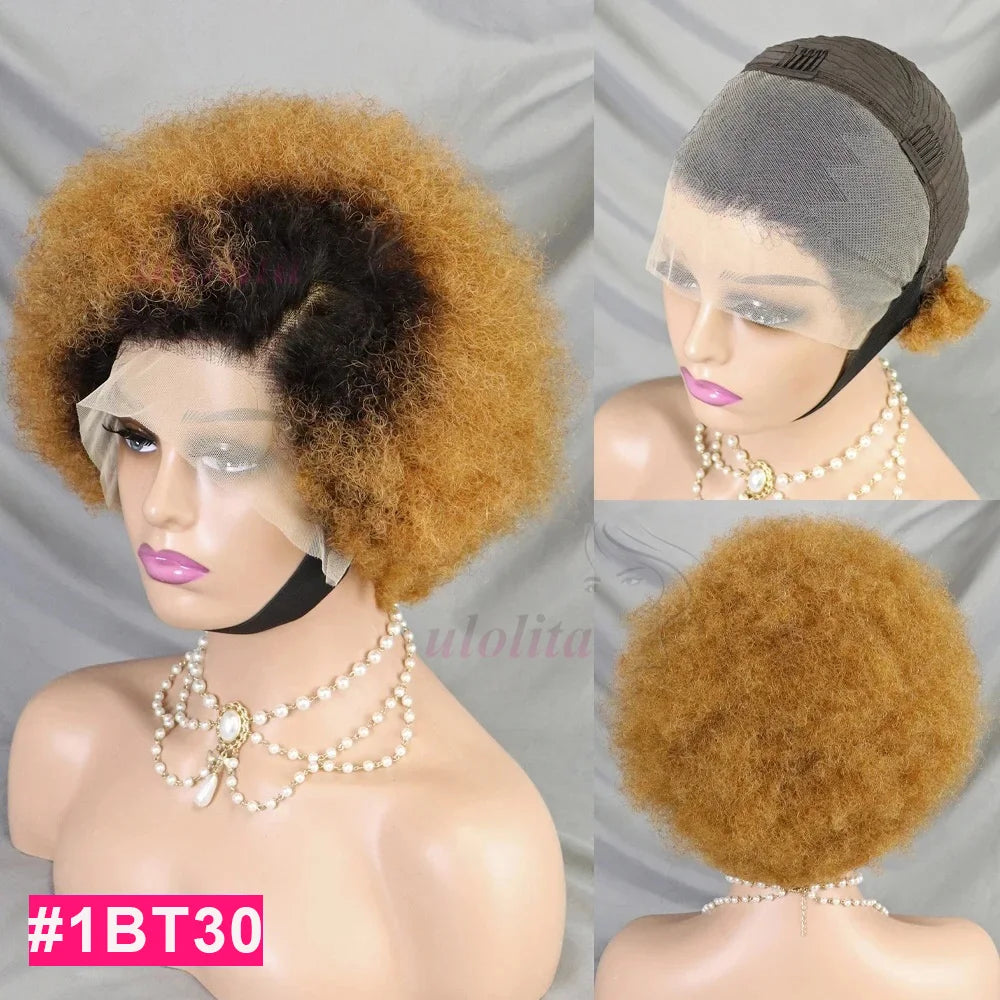 HD Lace Front Afro Short Afro Kinky Curly Human Hair Wigs Super Double Double Drawn Afro Fluffy Curly Bob Wigs for Black Women