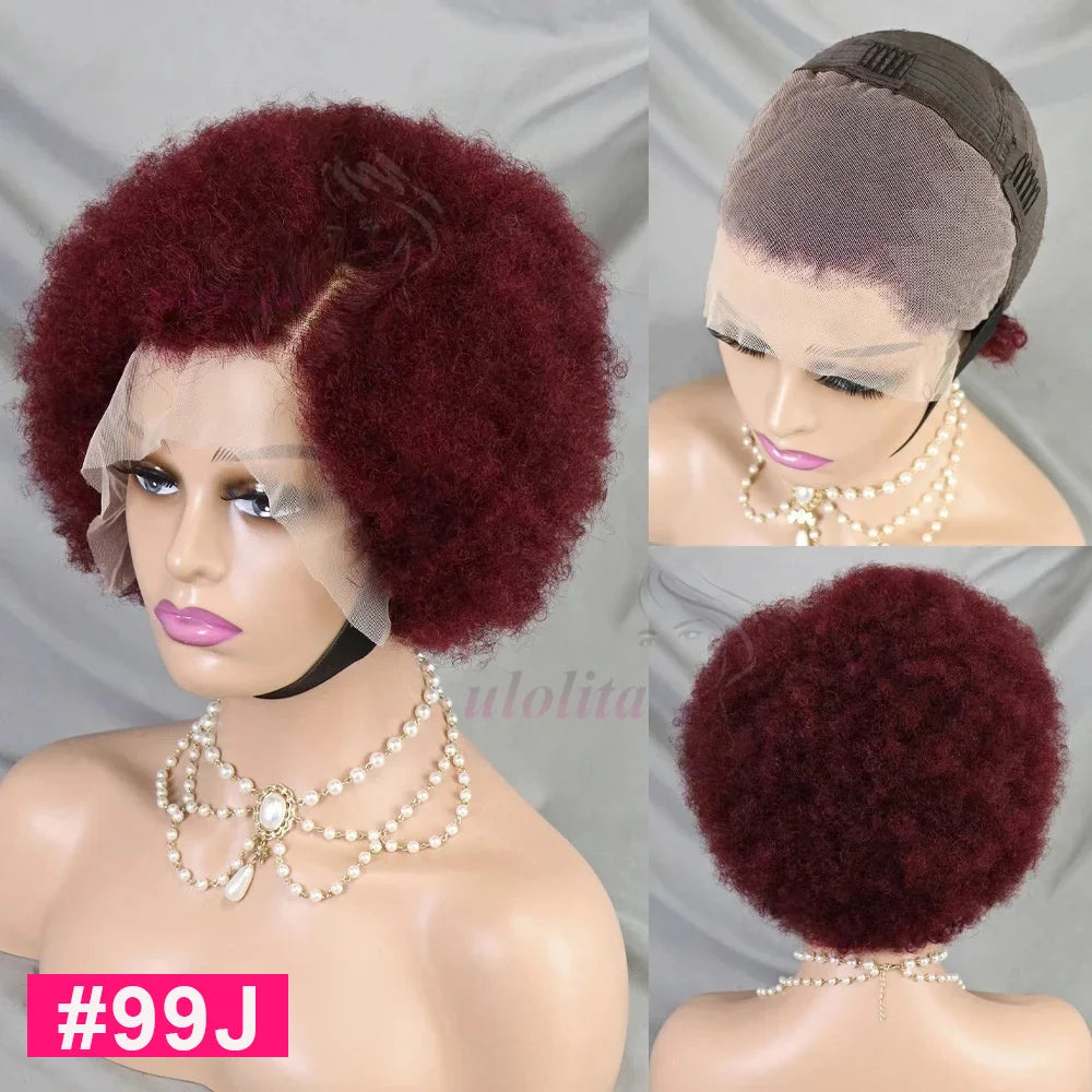 HD Lace Front Afro Short Afro Kinky Curly Human Hair Wigs Super Double Double Drawn Afro Fluffy Curly Bob Wigs for Black Women